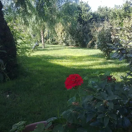 Mylife B&B Country House-2